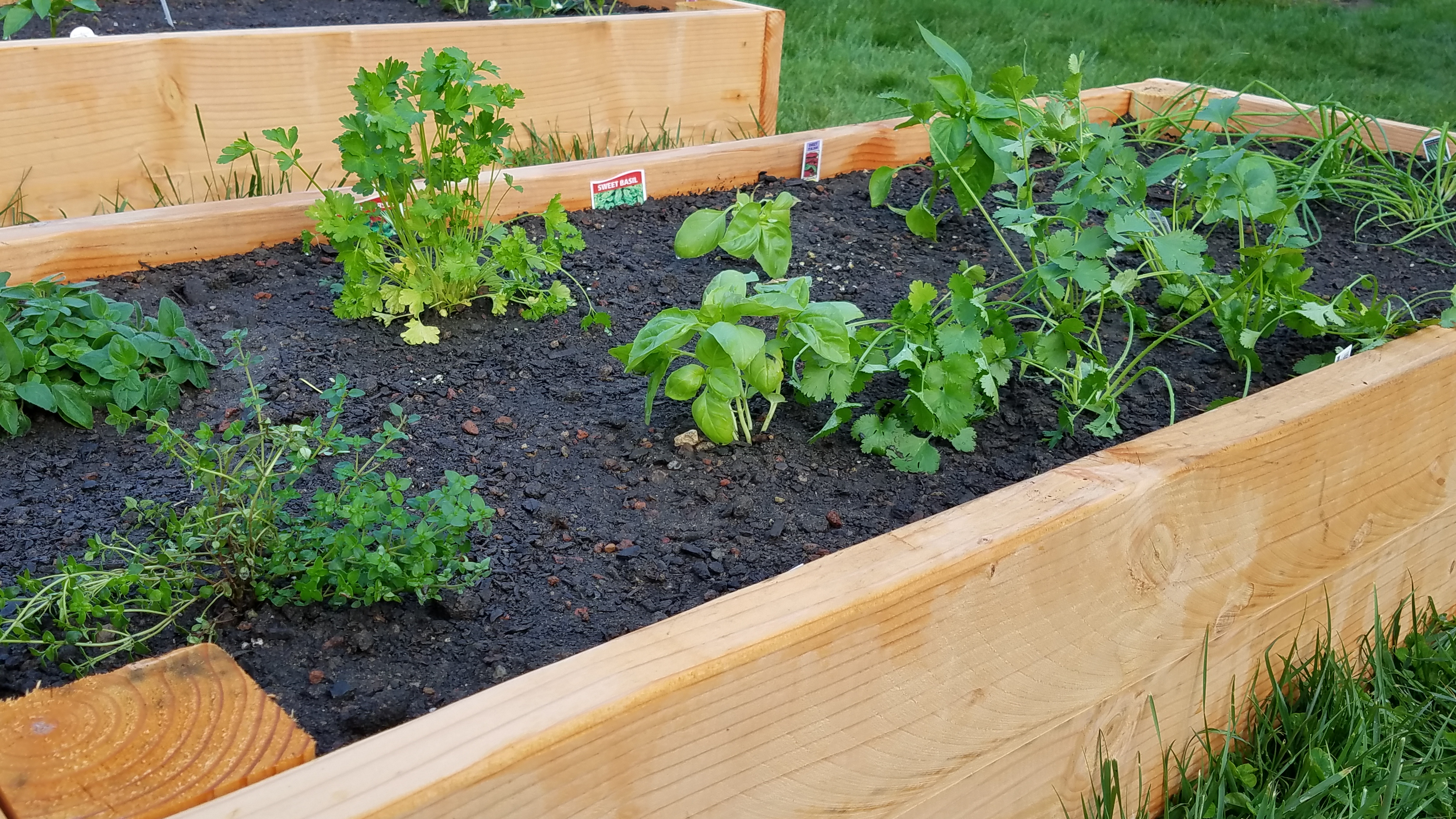 Raised beds for veggies! - Valley Gardens